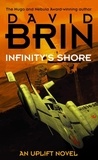David Brin - Infinity's Shore.