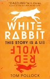 Tom Pollock - White Rabbit, Red Wolf.