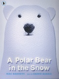 Mac Barnett et Shawn Harris - A Polar Bear in the Snow.
