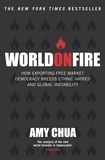 Amy Chua - World On Fire.