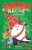 Nick Pine - Gnome Alone at Christmas.