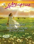 Janet Tronstad - Wildflower Bride In Dry Creek.