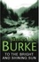 James Lee Burke - To the Bright and Shining Sun.