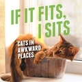  Various - If It Fits, I Sits - Cats in Awkward Places.