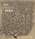 Eric Newman et Alphonse Araque - The Beautiful Brain - The Drawings of Santiago Ramon y Cajal.