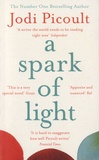 Jodi Picoult - A Spark of Light.