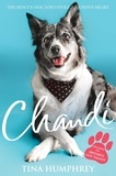 Tina Humphrey - Chandi - The Rescue Dog Who Stole a Nation's Heart.