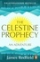 James Redfield - The Celestine Prophecy - how to refresh your approach to tomorrow with a new understanding, energy and optimism.