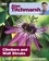 Alan Titchmarsh - Alan Titchmarsh How to Garden: Climbers and Wall Shrubs.