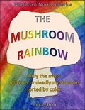  Irina Entin - The Mushroom Rainbow.