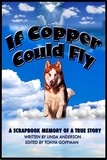  lindasfreelibrary - If Copper Could Fly a true story.