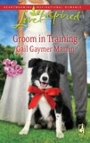 Gail Gaymer Martin - Groom In Training.