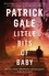 Patrick Gale - Little Bits of Baby.
