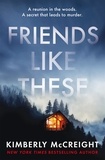 Kimberly McCreight - Friends Like These - How well do you really know your friends?.