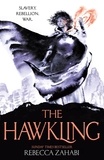 Rebecca Zahabi - The Hawkling.