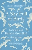Matt Merritt - A Sky Full of Birds.