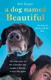 Robert Kugler - A Dog Named Beautiful - The true story of the Labrador who taught a Marine to love life again.