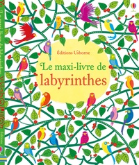 Kirsteen Robson et Phil Clarke - Le maxi-livre de labyrinthes.