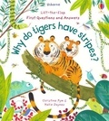 Katie Daynes et Christine Pym - Why do tigers have stripes?.