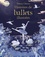 Susanna Davidson et Katie Daynes - Histoires de ballets illustrées.