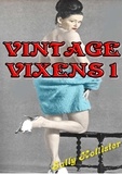  Sally Hollister - Vintage Vixens 1 - Vintage Vixens, #1.