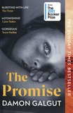Damon Galgut - The Promise.