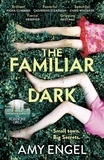 Amy Engel - The Familiar Dark.