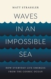 Matt Strassler - Waves in an Impossible Sea - How Everyday Life Emerges from the Cosmic Ocean.