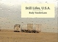 Rudy Vanderlans - Still lifes, USA.