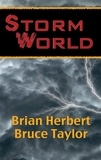  Brian Herbert et  Bruce Taylor - Stormworld.