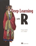 François Chollet - Deep Learning with R.