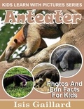  Isis Gaillard - Anteater Photos and Fun Facts for Kids - Kids Learn With Pictures, #91.