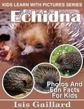  Isis Gaillard - Echidna Photos and Fun Facts for Kids - Kids Learn With Pictures, #99.