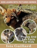  Isis Gaillard - Coyotes Photos and Fun Facts for Kids - Kids Learn With Pictures, #114.