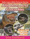  Isis Gaillard - Alligators and Crocodiles Photos and Fun Facts for Kids - Kids Learn With Pictures, #116.