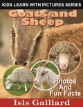  Isis Gaillard - Goats and Sheep Photos and Fun Facts for Kids - Kids Learn With Pictures, #118.