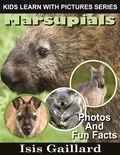  Isis Gaillard - Marsupials Photos and Fun Facts for Kids - Kids Learn With Pictures, #126.