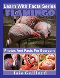  Isis Gaillard - Flamingo Photos and Facts for Everyone - Learn With Facts Series, #44.