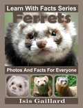  Isis Gaillard - Ferrets Photos and Facts for Everyone - Learn With Facts Series, #85.