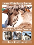  Isis Gaillard - Reindeer Photos and Facts for Everyone - Learn With Facts Series, #93.