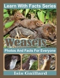  Isis Gaillard - Weasels Photos and Facts for Everyone - Learn With Facts Series, #115.