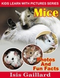  Isis Gaillard - Mice Photos and Fun Facts for Kids - Kids Learn With Pictures, #132.
