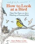 Clare Walker Leslie - How to Look at a Bird - Open Your Eyes to the Joy of Watching and Knowing Birds.