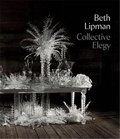 Beth Lipman - Collective Elegy.