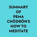  Everest Media et  AI Marcus - Summary of Pema Chödrön's How To Meditate.