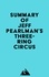  Everest Media - Summary of Jeff Pearlman's Three-Ring Circus.