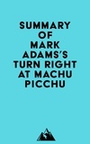  Everest Media - Summary of Mark Adams's Turn Right at Machu Picchu.