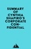  Everest Media - Summary of Cynthia Shapiro's Corporate Confidential.