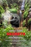  Allie Harrison - Small Town Secrets.