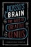 Christine Temple - Picasso's Brain - The basis of creative genius.